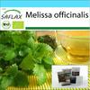 Подарочный набор - Органический - Мелисса лекарственная - 1000 семян - С подарочной коробкой, карточкой, этикеткой и субстратом для горшков - Мелисса лекарственная