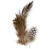 Good Quality Guinea Fowl Feathers. Ref 51812