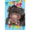 Gemma International ItÂ´s Your Birthday! Chimpanzee Greetings Card