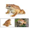 Фигурка древесной лягушки, реалистичная статуя жабы, скульптура, украшение, украшение, детская образовательная симуляция, модель дикого животного, игрушка для малышей, мальчиков и девочек, подарок