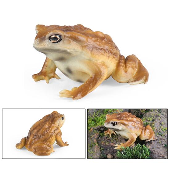 Фигурка древесной лягушки, реалистичная статуя жабы, скульптура, украшение, украшение, детская образовательная симуляция, модель дикого животного, игрушка для малышей, мальчиков и девочек, подарок