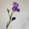 DIY Accessories Artificial Iris Flower Branch 80cm Faux Floral  Home Decoration