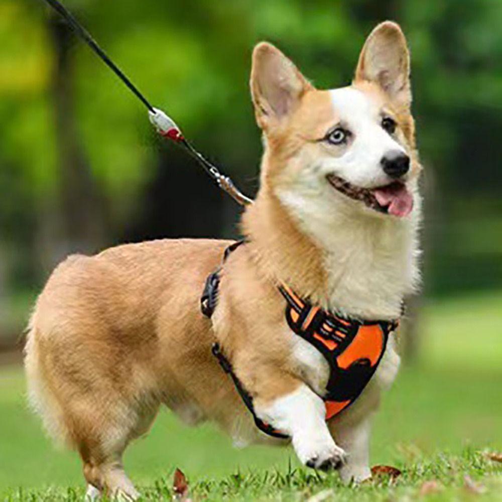 Reflective No Pull Dog Harness Vest Nylon Breathable Dog Chest Strap Adjustable Dog Leash Vest Large and Medium-sized Dog