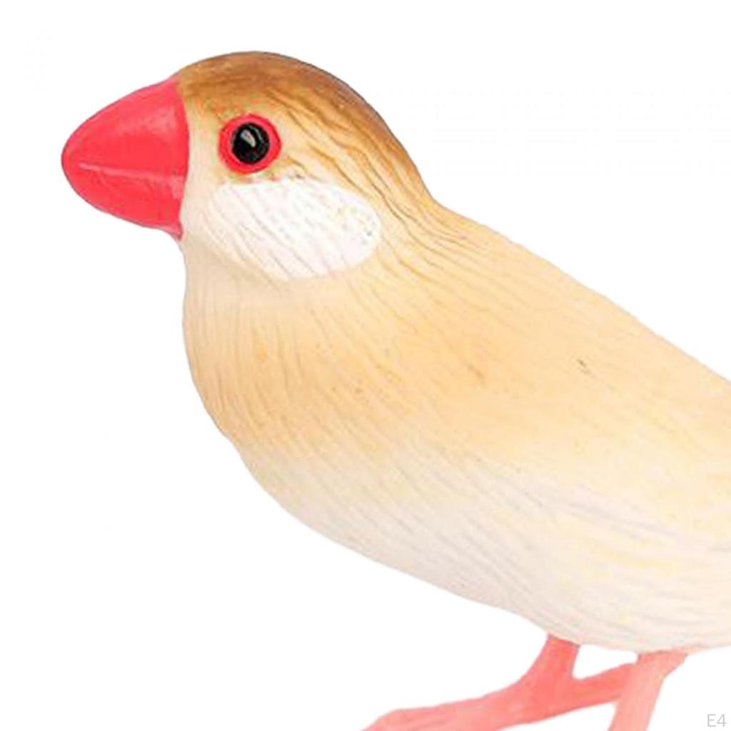 Фигурки птиц, модель маленьких птиц, научная игрушка, обучение животных для украшения вечеринки