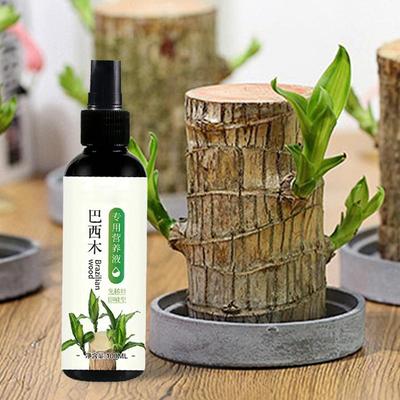 Удобрение для комнатных растений из бразильского дерева 100 мл для Lucky Wood Удобрение для комнатных растений из бразильского дерева