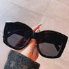 New Fashion Large Frame Sunglasses Women's Brand Designer Luxury Sun Glasses Outdoor Leisure Women Eyewear UV400