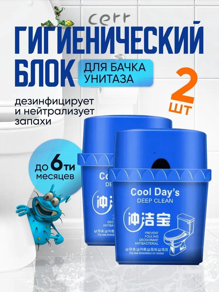 Toilet Cleaner Toilet Block Cool day s 2pcs.