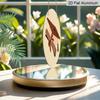 2D Flat Aluminum Graduation-themed Wall Hangings, Available in Multiple Sizes, Featuring A Minimalist Graduation Cap Bohemian Design Making Them A