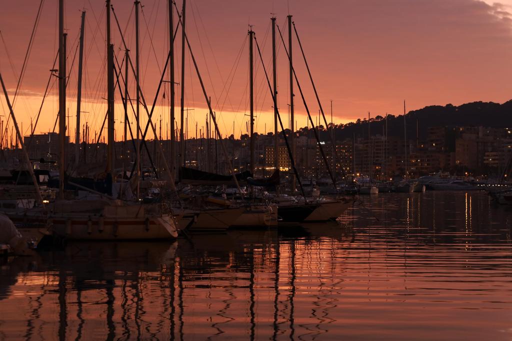 Canon Стандартный зум-объектив IS STM EOSR-совместимый RF24-105mm F4-7.1 RF24-105ISSTM