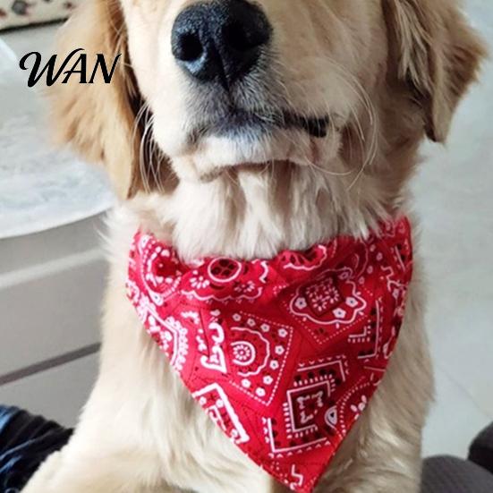 Walk-ready Dog Accessory Bandana Collar, Paisley Pattern with D-Ring, No-Tie Leash D-Ring Adjustable Stylish Collar for Small Medium Large Dogs