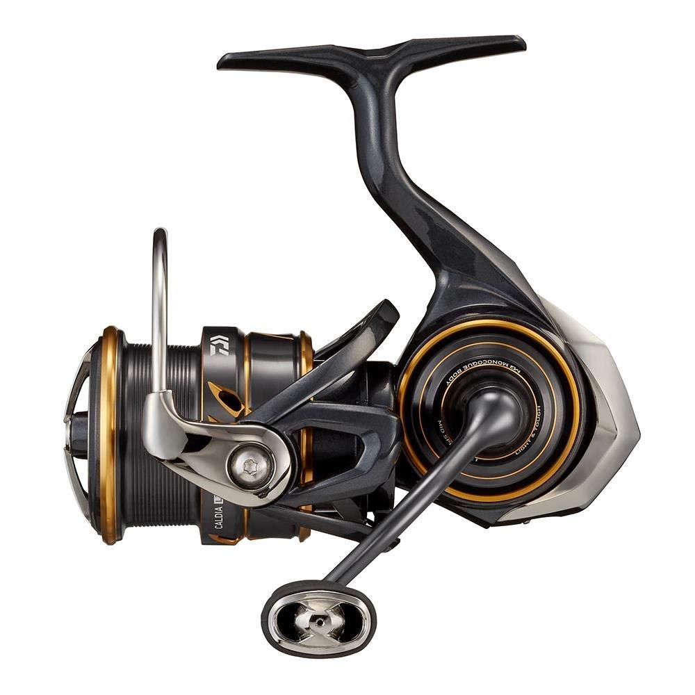 DAIWA Спиннинг 21 Caldia LT2500S