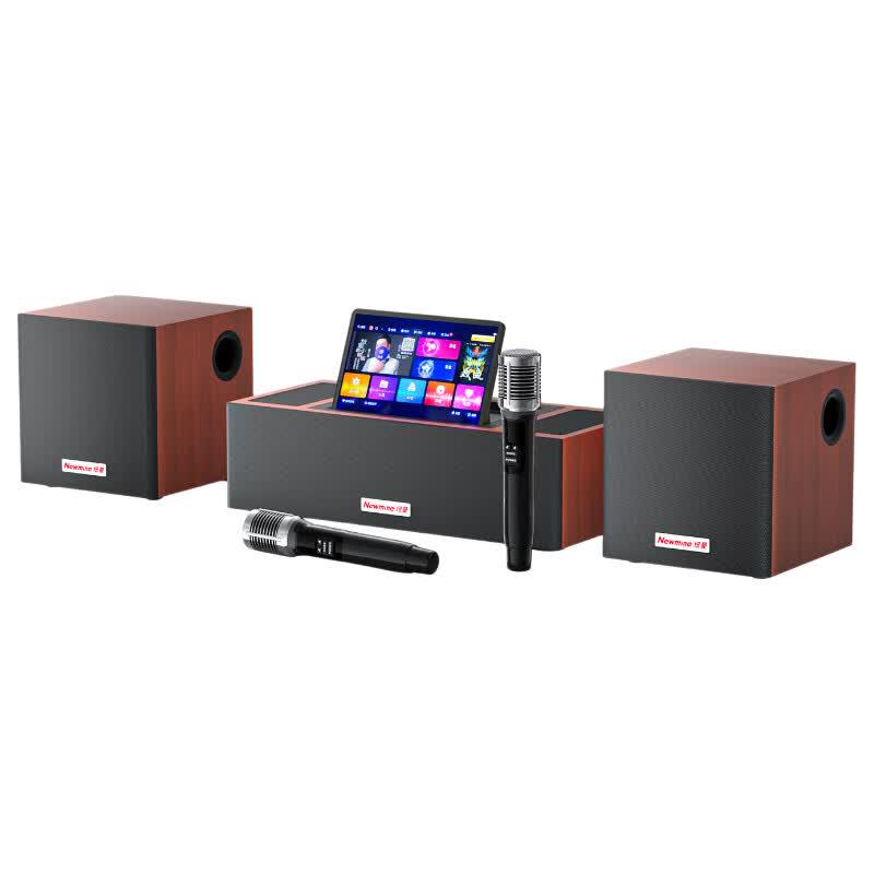 Newmine BT816 Pro Smart Home KTV Karaoke System (CN version)