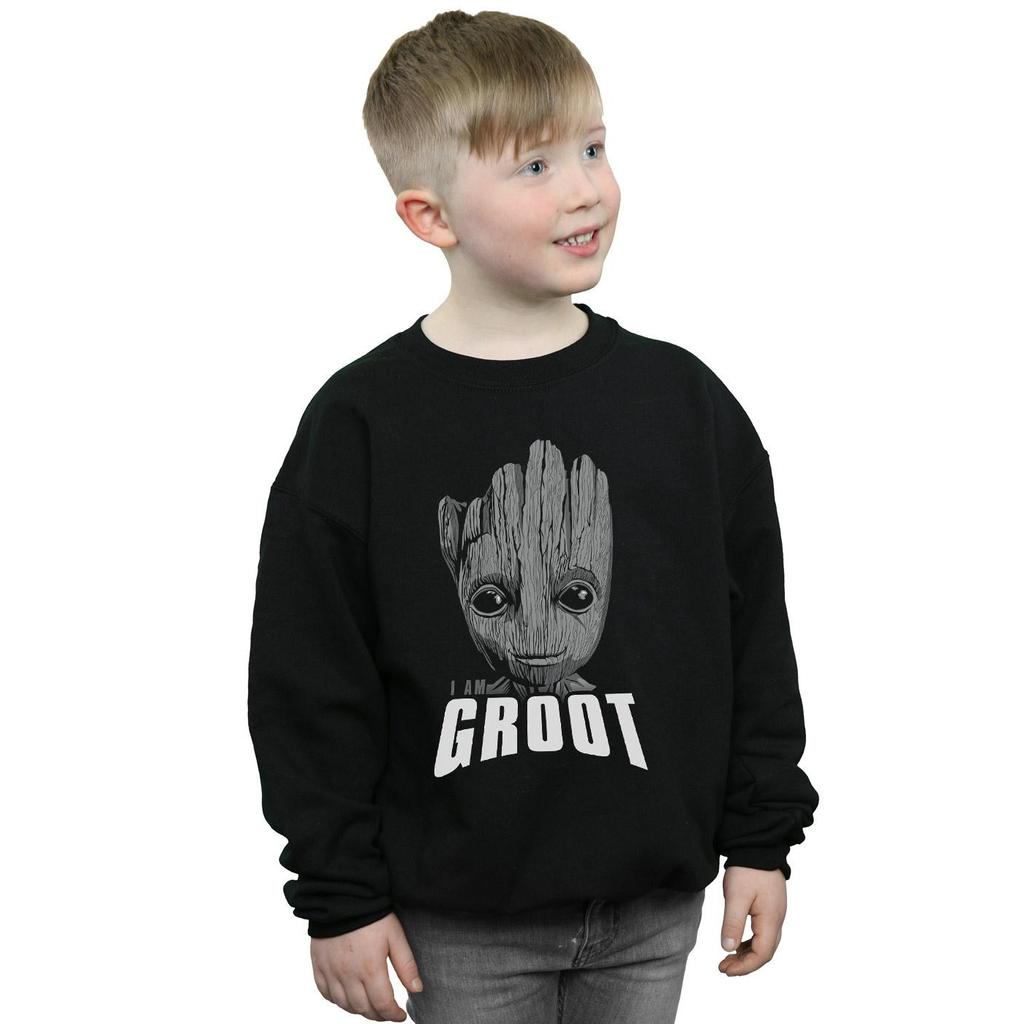 Marvel Boys Guardians Of The Galaxy Groot Face Sweatshirt