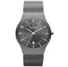 SKAGEN 233XLTTM [product]