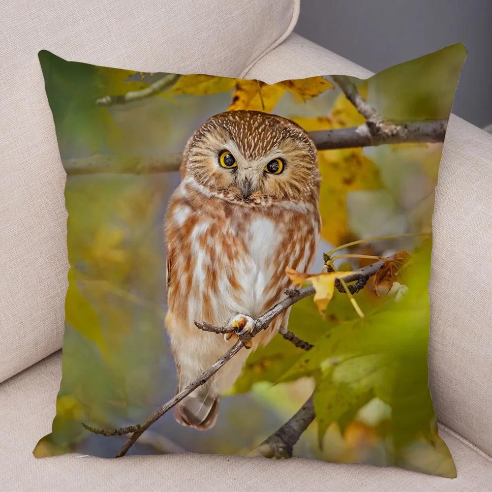 Милая наволочка с изображением животных, дикая сова, декоративный чехол для дивана, домашняя детская комната
