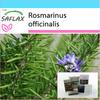 Gift Set - Rosemary - 100 Seeds - With Gift Box, Card, Label and Potting Substrate - Rosmarinus Officinalis