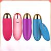 Dazzling Dance Elf Vibrating Egg: USB Rechargeable Wireless Women's Vibrator with Remote Control and Variable Frequency.