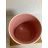 Starbucks Coffee Mug Florida 14oz Been There Series Ceramic in Box