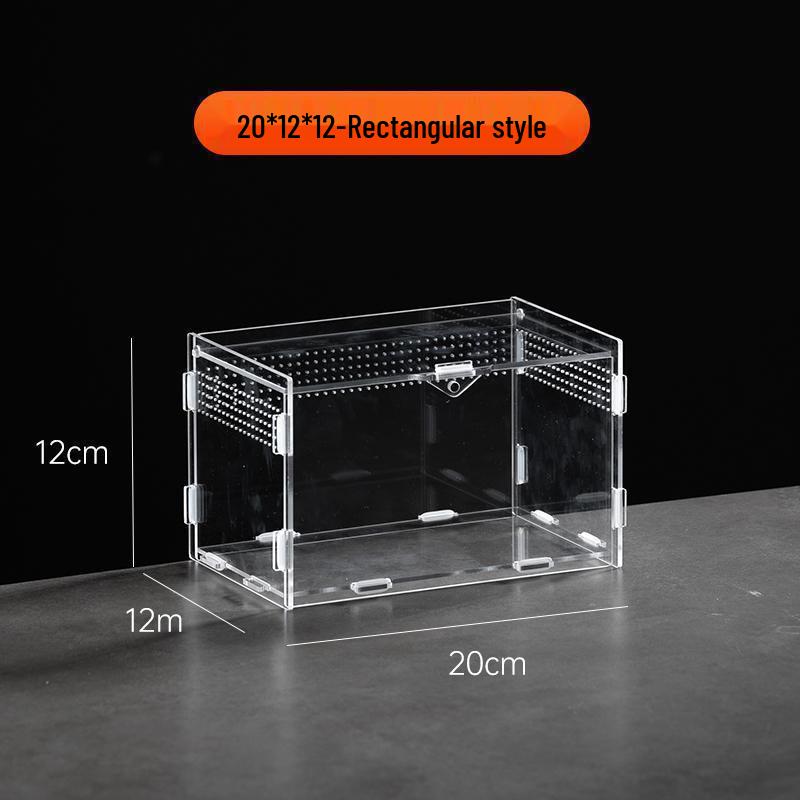 Small Acrylic Reptile Habitat: Transparent Observation Box for Spider, Lizard, Mantis, and Rainforest Landscape