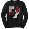 Green Day Unisex Adult American Idiot Sweatshirt