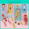 Human Body Organs Structure Jigsaw Puzzle Educational Toy For Kids Learning