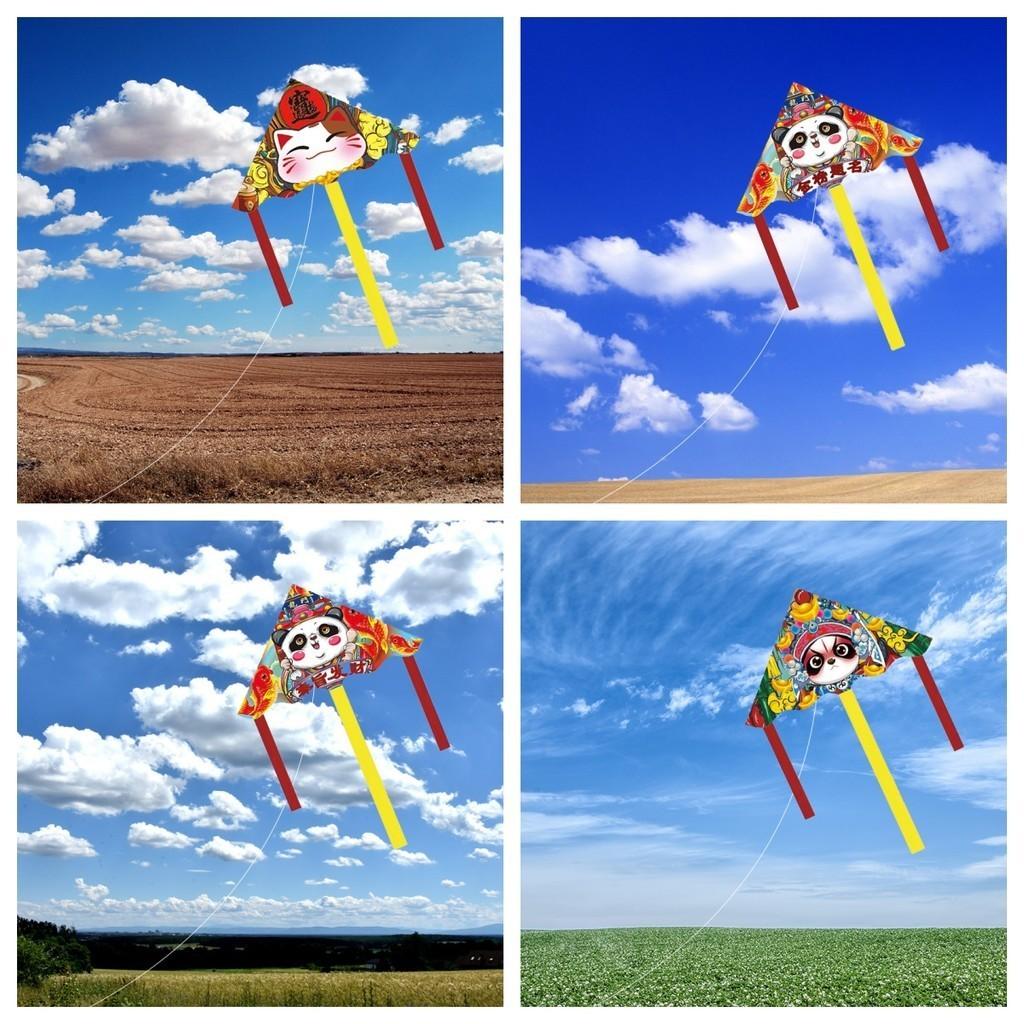 Exquisite Machine-made Panda Kites In Different Sizes Suitable For Various Occasions