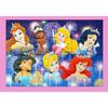 R088720 Disney Princess Festival 2X24 Pieces, Korean Popular Puzzles