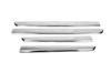 Door Molding (2008-2011, 4 Pieces, Stainless Steel) for Renault Kangoo