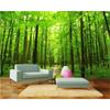 Фотообои 3D Natural Forest Landscape Wall Mural Гостиная Спальня Обои Домашнее украшение Murals