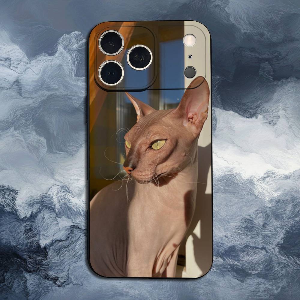 Чехол для iPhone 11,12,15,14,13,16,17,Plus,Pro Max,XS,X,XR,SE,Mini,8,7 с изображением кошки породы Сфинкс, Мягкий силикон, Черный