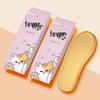Arrogant Cat Heating Insoles