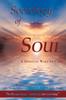 Книга Sociology of Soul : A Spiritual Wake-Up Call