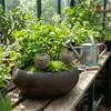 10Pcs Column Shape Plant Fertilizer Baskets Slow Release Plant Growth Box  Potted Plants