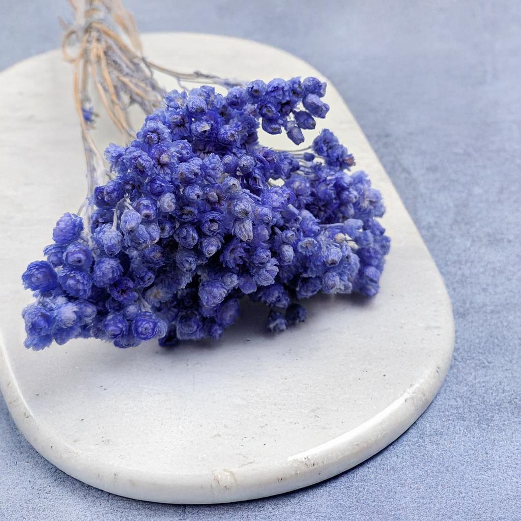 Dried Italian Helichrysum - (Helichrysum Italicum) - Lavender
