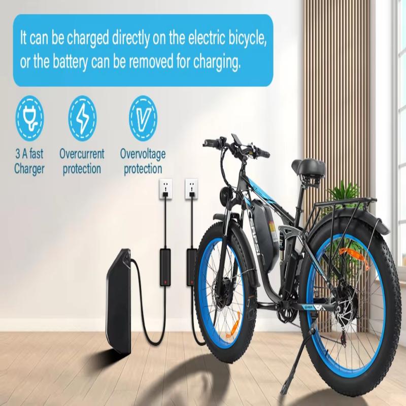 Ebike BLJ DP-2603 3000W Dual Motor 48V 25AH Battery, Front and Rear Shock Absorption, 26-inch Snow Tires, Adult E-Bicycle.