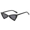 2PCS Lady Cat Eye Sunglasses Personality Classic Unisex Vintage Women Glasses Trendy