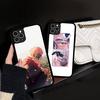 Аниме Jujutsu Kaisen для iPhone 17 16 15 14 13 12 11 Pro Max Plus Ударопрочная задняя крышка телефона из PC+TPU