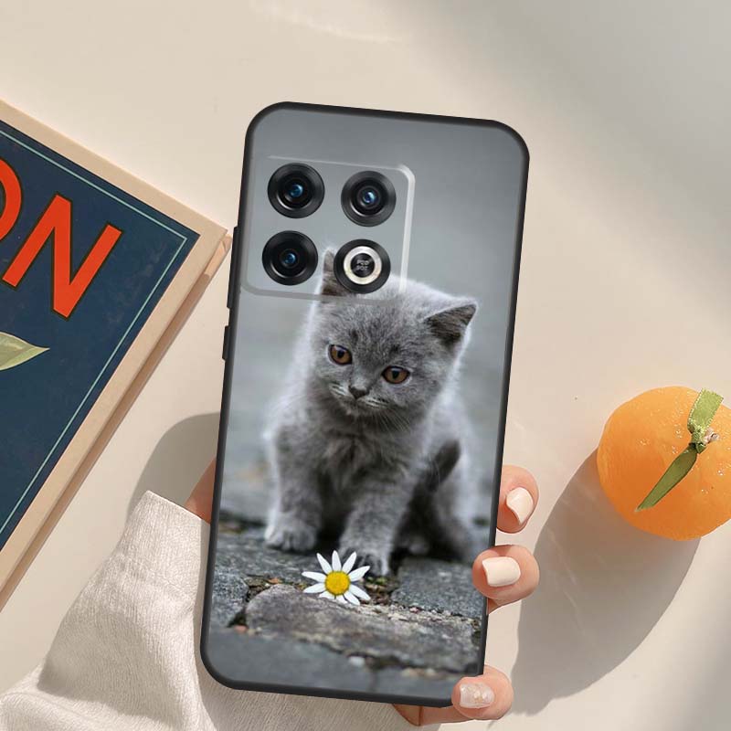 Красивый серый британский короткошерстный кот Чехол для OnePlus Nord 5 CE 2 3 4 Lite N20 N30 OnePlus 15 13 12 11 13T 10T 10R 12R 13R Обложка