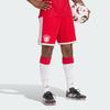 adidas Футбольные брюки FC Bayern для мужчин