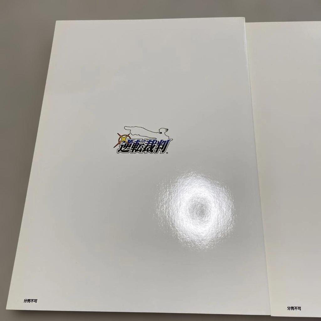 [USED] Ace Attorney Art Book: Naruhodō Edition and Odoriki Edition, 2-volume set
