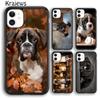 Krajews Cute Boxer Dog Puppy TPU Phone Case Cover For iPhone 14 5 6s 7 8 Plus X XR XS 11 12 13 Pro Max Samsung S21 S22ultra Plus