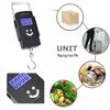 50kg Household Portable Electronic Scale Mini Portable Scale High Sensitive Sensor Electronic Scale With Digital Display Hanging Scales