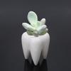 Tooth Shape Ceramic Flower Pot Green Succulent Planter Cactus Container Decor