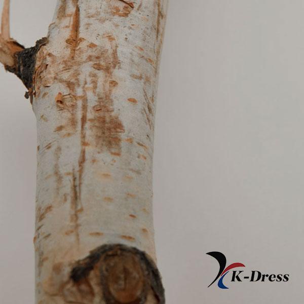 Re-Hydra Shampoo 500ml