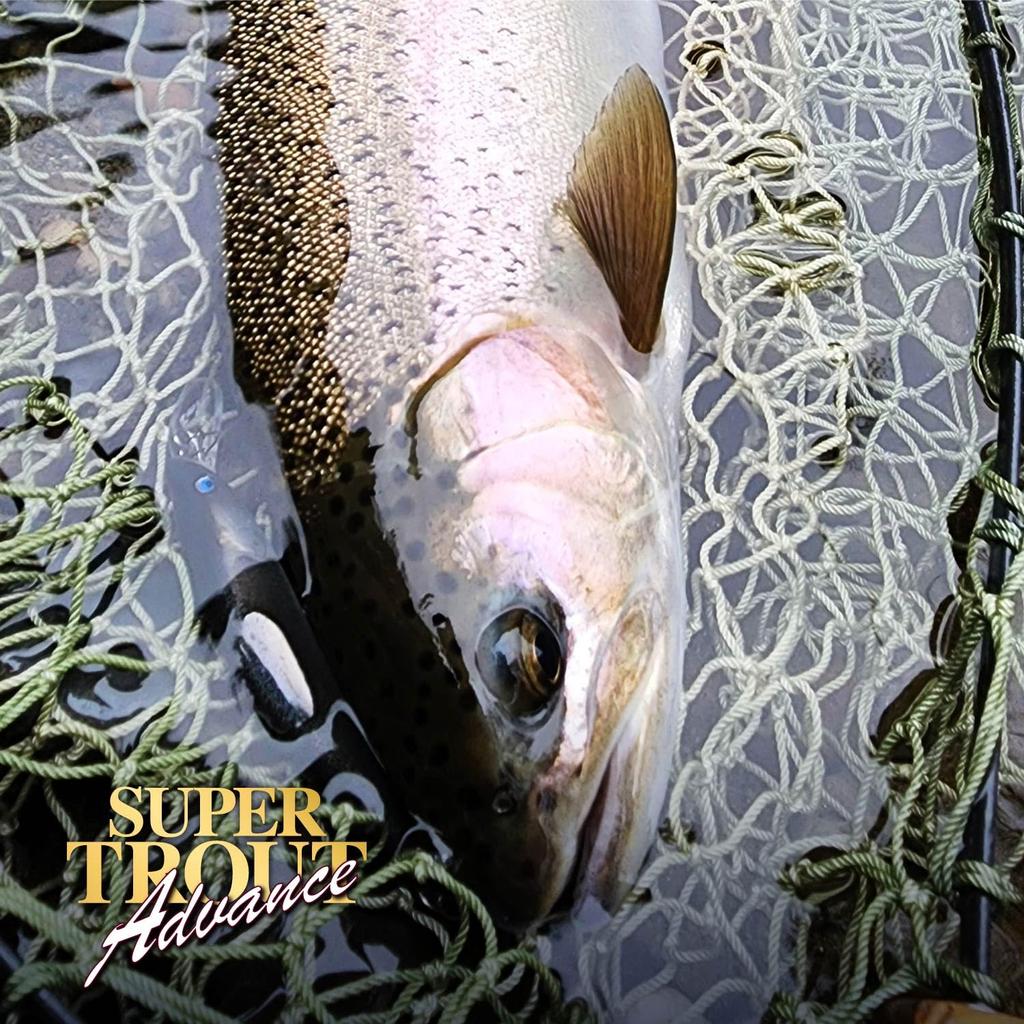Нейлоновая леска VARIVAS Varivas Super Trout Advance 150 м 2 10 фунтов Misty Brown No.