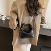 Hand Carrying Bucket Bag Women 2025 New Korean Version Ins Trendy Fashion Shoulder Bag Simple Niche Messenger Bag