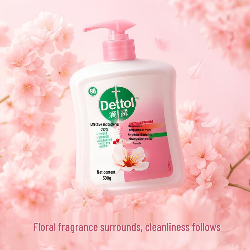 Dettol Moisturizing Care Hand Wash Family Pack