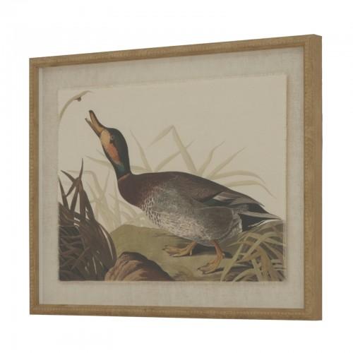 Hill Interiors Flora & Fauna Collection Duck Linen Framed Art Print
