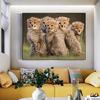 5D Diy Полный Круглый Алмазная Вышивка Мозаика Животных Алмазная Картина Три Леопарда Детеныш Вышивки Крестом