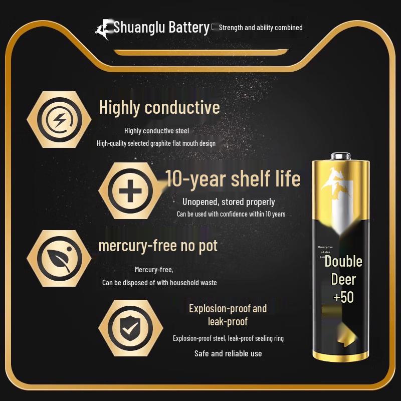 Shuanglu AA Alkaline Batteries CN plug (adapter included)